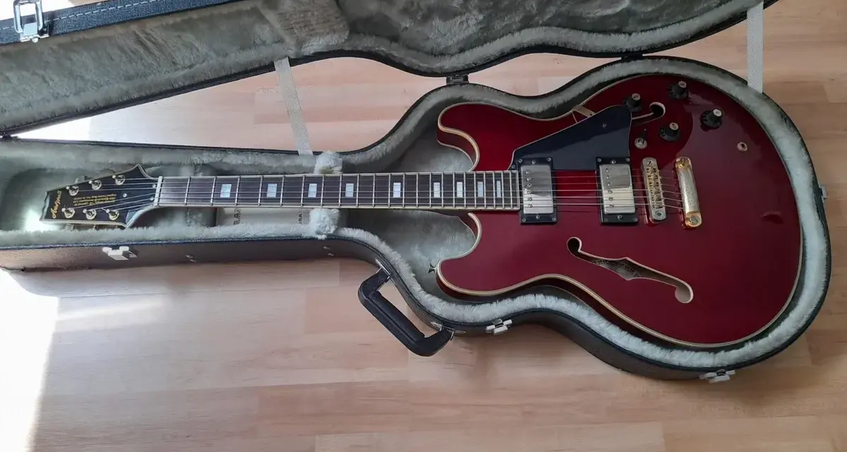Rote E-Gitarre im Koffer, ein Beispiel für verschiedene E-Gitarrentypen, bereit für den Transport.