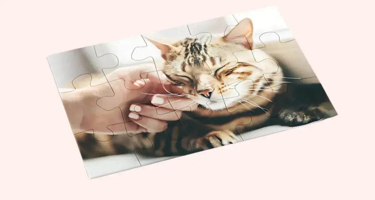 Jak zrobić puzzle ze zdjęcia? Ułóż obrazek z kotem, który głaszcze dłoń.