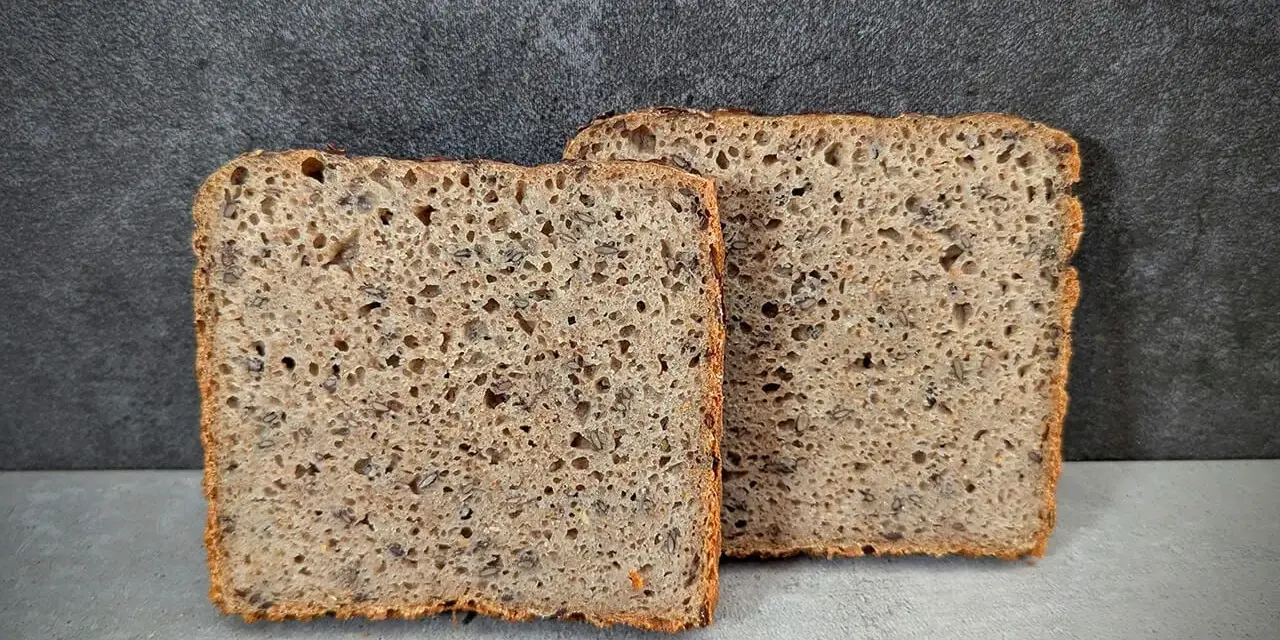 Zwei Scheiben rustikales **Sauerteig Kastenbrot** mit Körnern und einer luftigen Krume vor dunklem Hintergrund.
