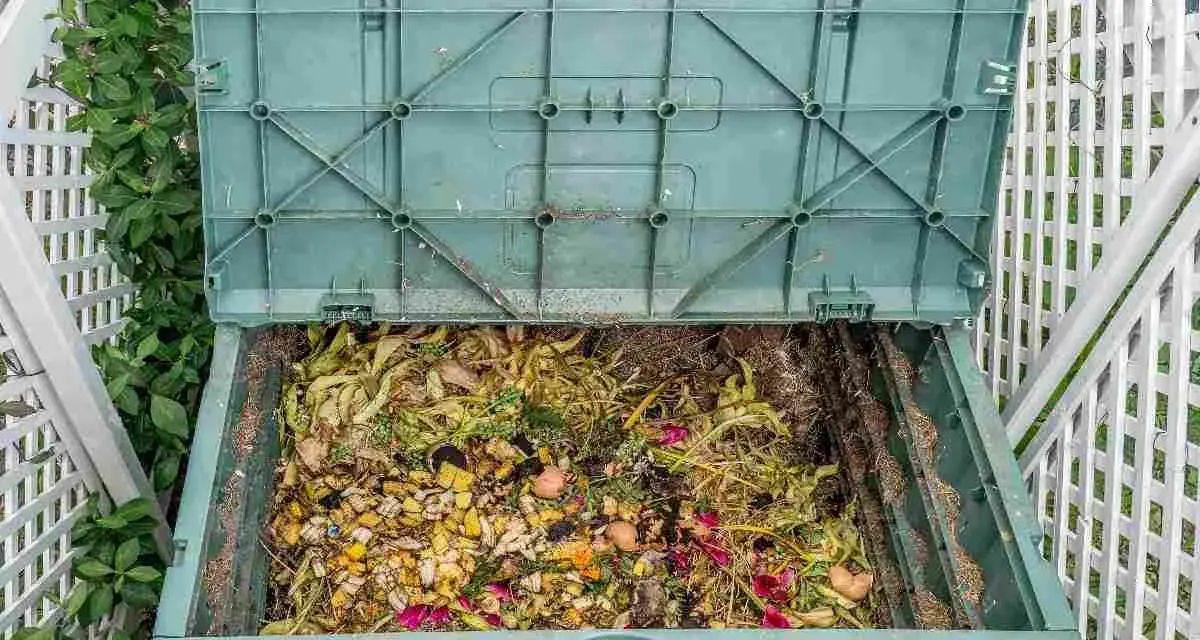 Compostiera verde piena di scarti organici, un esempio di bokashi fai da te per un giardino sostenibile.