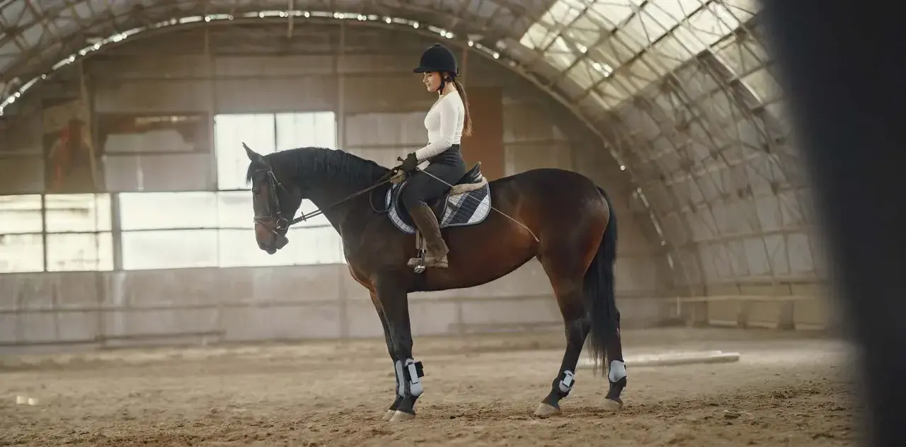 Une cavalière en tenue d'équitation, portant un casque, monte un cheval brun dans un manège. Elle a un aplomb parfait, montrant sa maîtrise.