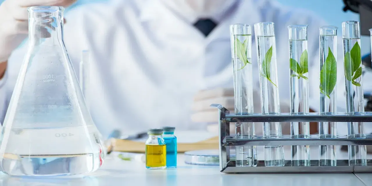 Co można robić po studiach biotechnologii? Odkryj ciekawe kariery