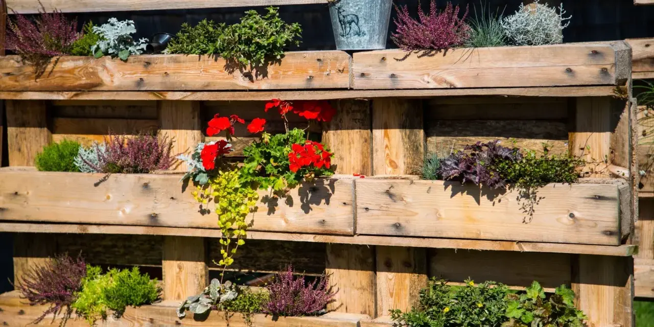 Fioriere con pallet fai da te piene di erica, gerani rossi e piante verdi. Un secchiello decorativo completa l'allestimento.