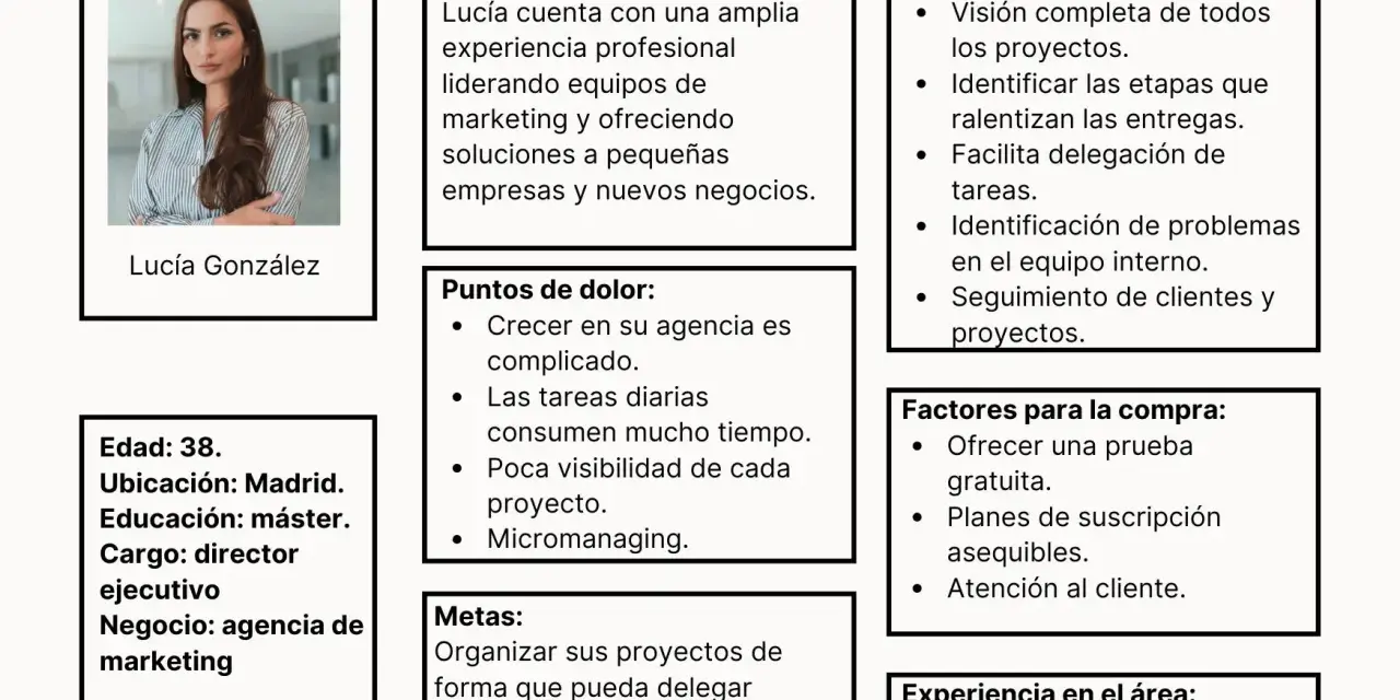 Buyer persona B2B: Lucía, 38, directora ejecutiva de agencia de marketing en Madrid. Busca delegar tareas y crecer.
