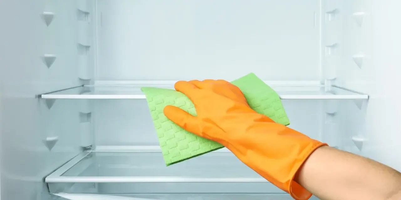 Main d'une personne portant un gant orange, essuyant une étagère de réfrigérateur vide avec une éponge verte. Le nettoyage du frigo est terminé.