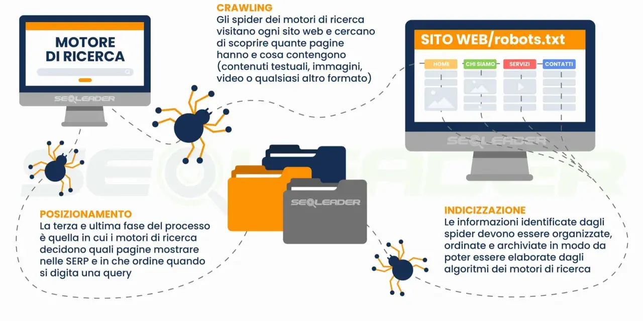 Spider dei motori di ricerca esplorano siti web, indicizzano contenuti e determinano il posizionamento per le query.