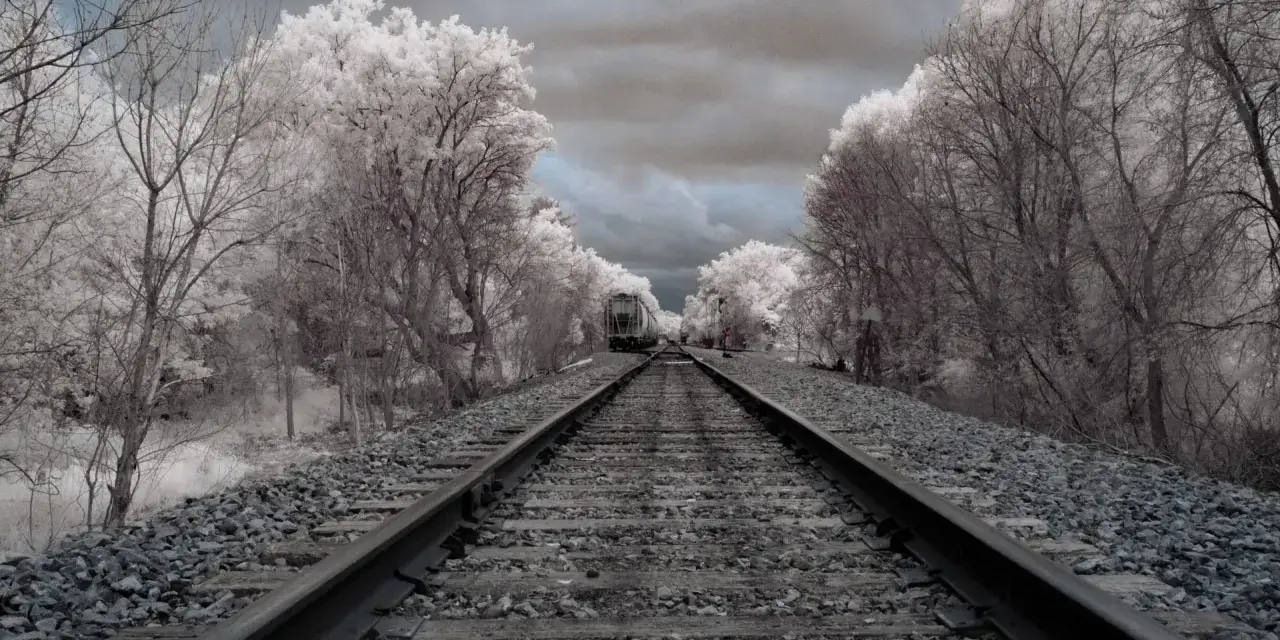 Voie ferrée menant à un train solitaire, bordée d'arbres aux feuilles blanches et d'un ciel orageux.