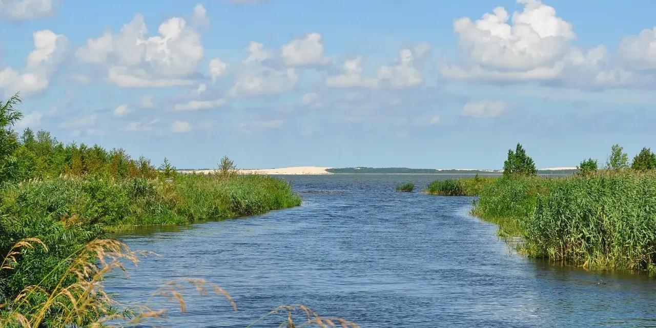 Spokojne jezioro na wybrzeżu słowińskim, otoczone zielenią i trzcinami, z piaszczystymi wydmami w oddali pod błękitnym niebem.