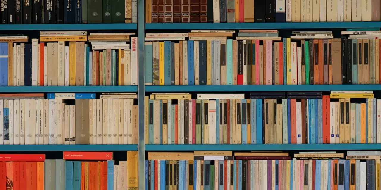 Estanterías llenas de libros con títulos variados, una biblioteca repleta de historias esperando ser descubiertas.