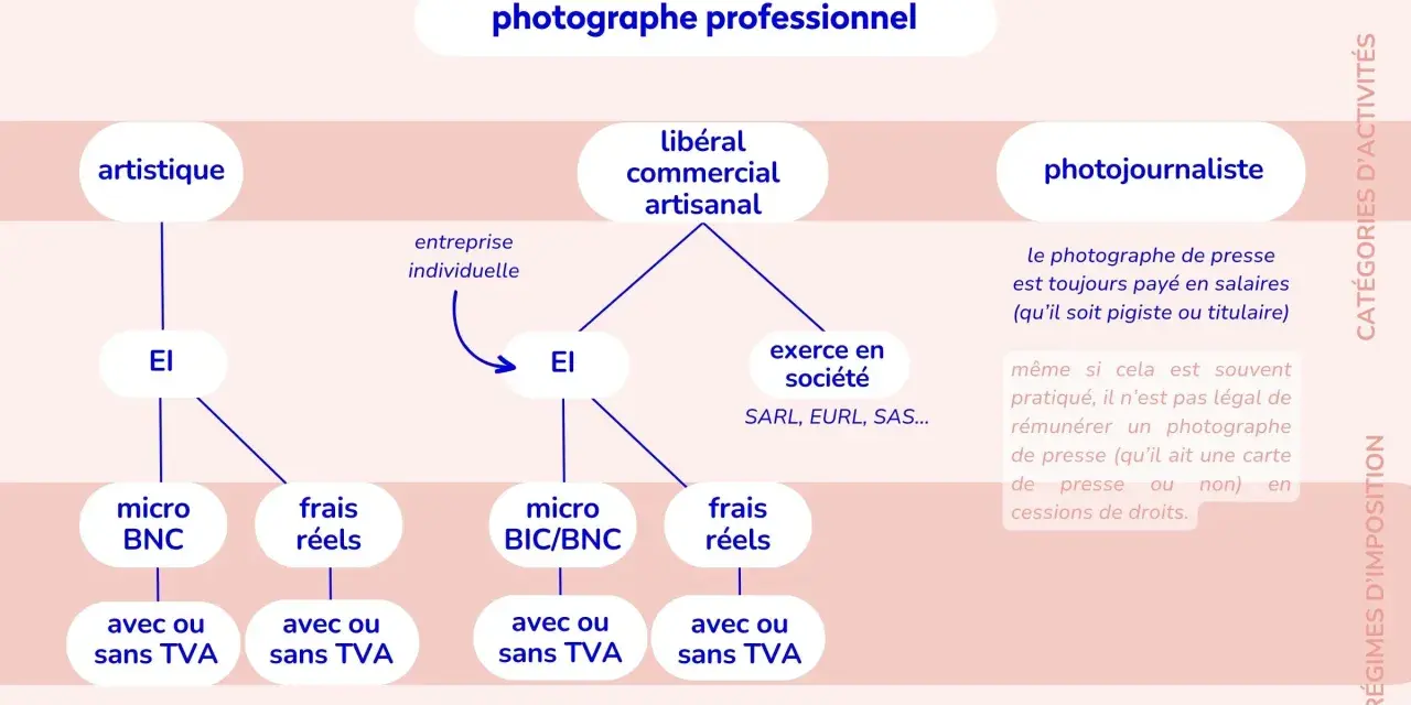 Schéma des statuts du photographe : artistique, libéral, commercial, artisanal, photojournaliste. L'artiste auteur ou micro entrepreneur peut choisir entre EI, micro BNC/BIC, frais réels.