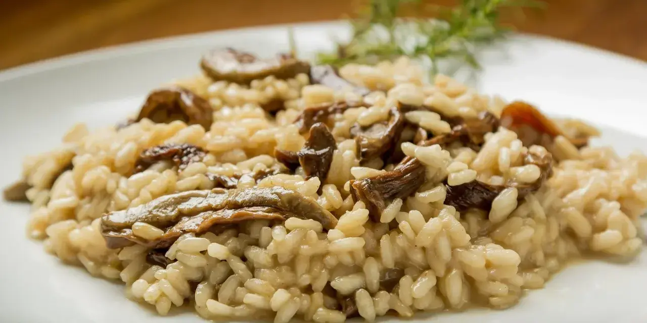 Kremowe risotto z grzybami na białym talerzu, udekorowane gałązką rozmarynu.