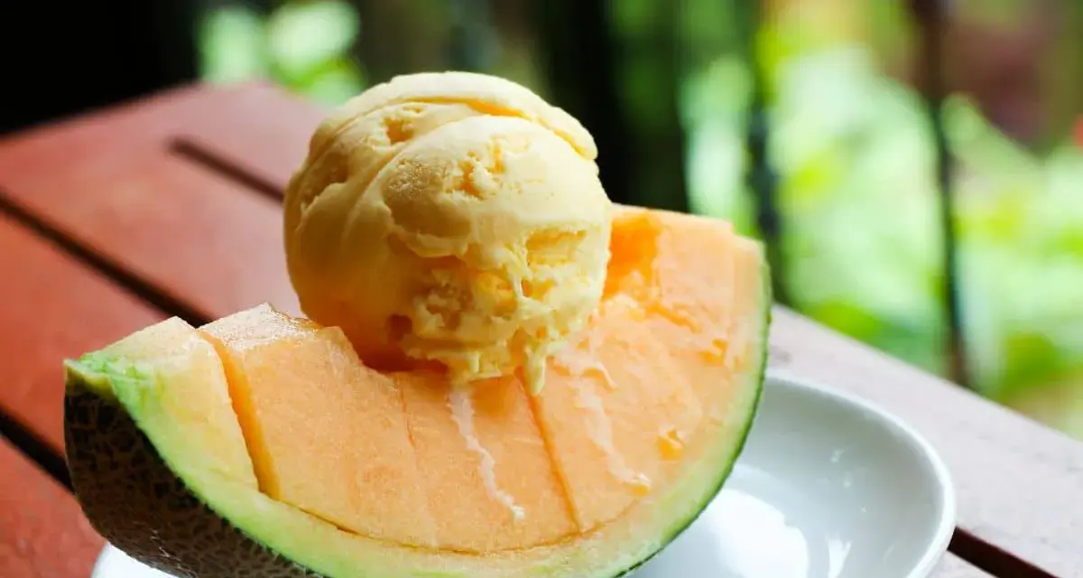 Une boule de glace au melon, fondante, repose sur une tranche de melon frais, sur une assiette blanche.