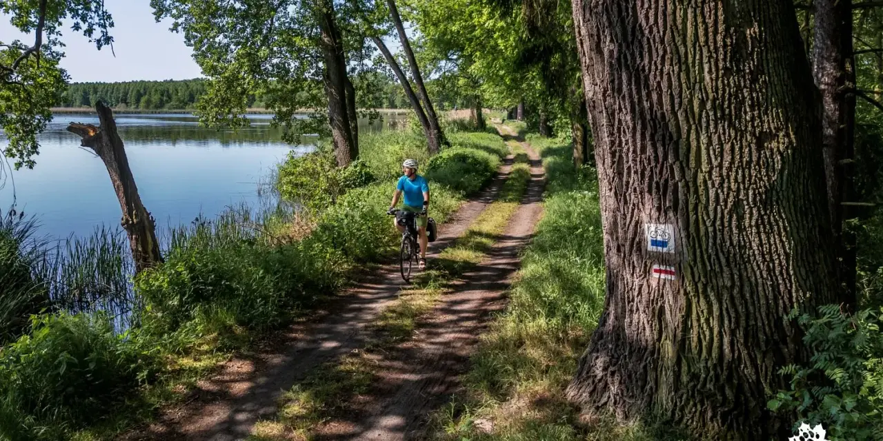 Rowerzysta przemierza malowniczą ścieżkę nad jeziorem. To idealne miejsce na odkrywanie uroków dolnośląskiej krainy rowerowej.