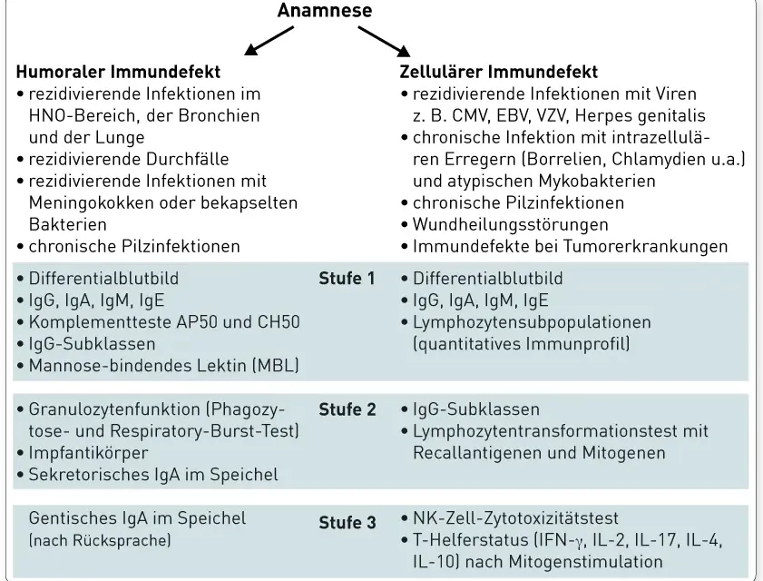 Die wichtige Rolle der Immundefekt Diagnostik im Gesundheitswesen