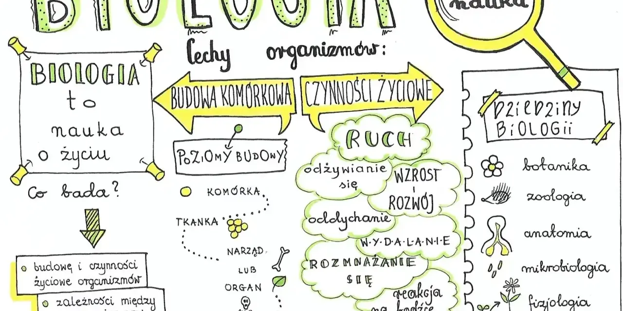 Czy biologia to nauka ścisła? Odkryj złożoność tej dziedziny