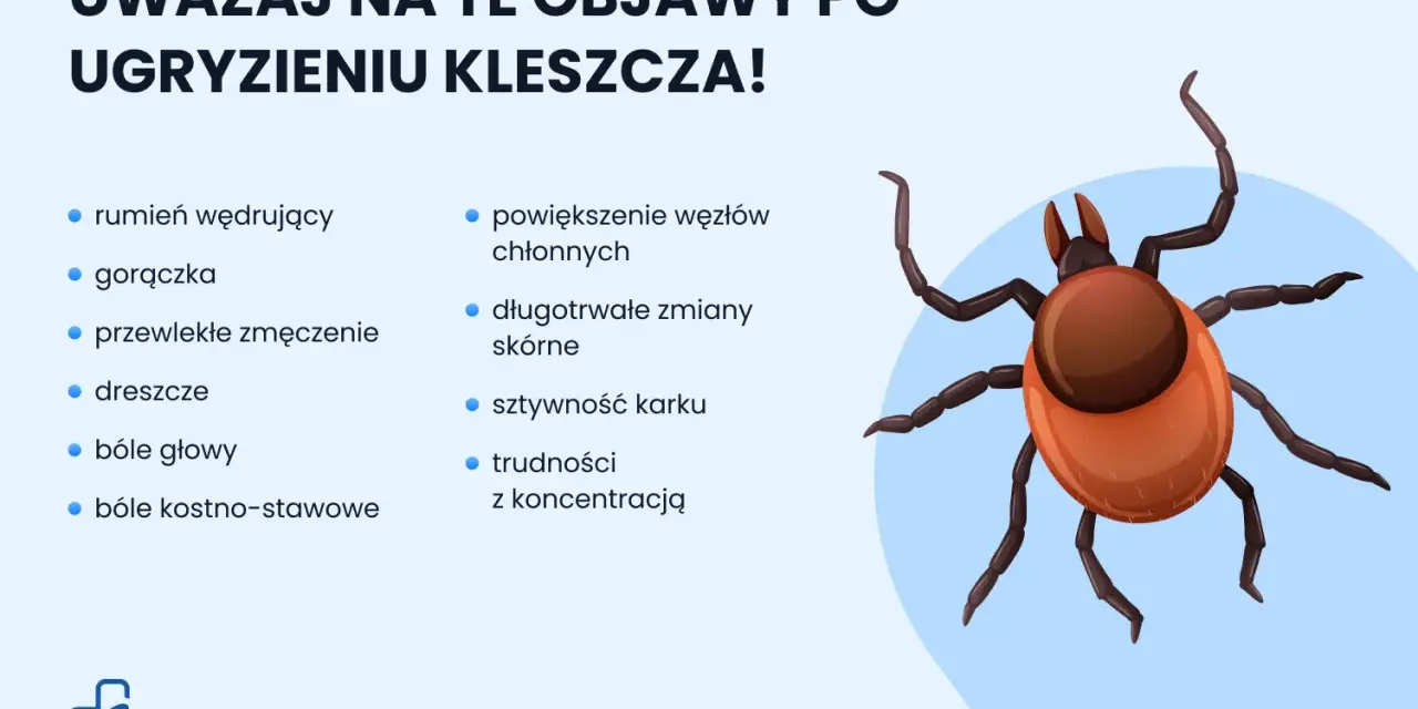 Kleszcz: Jak usunąć bezpiecznie i uniknąć chorób?