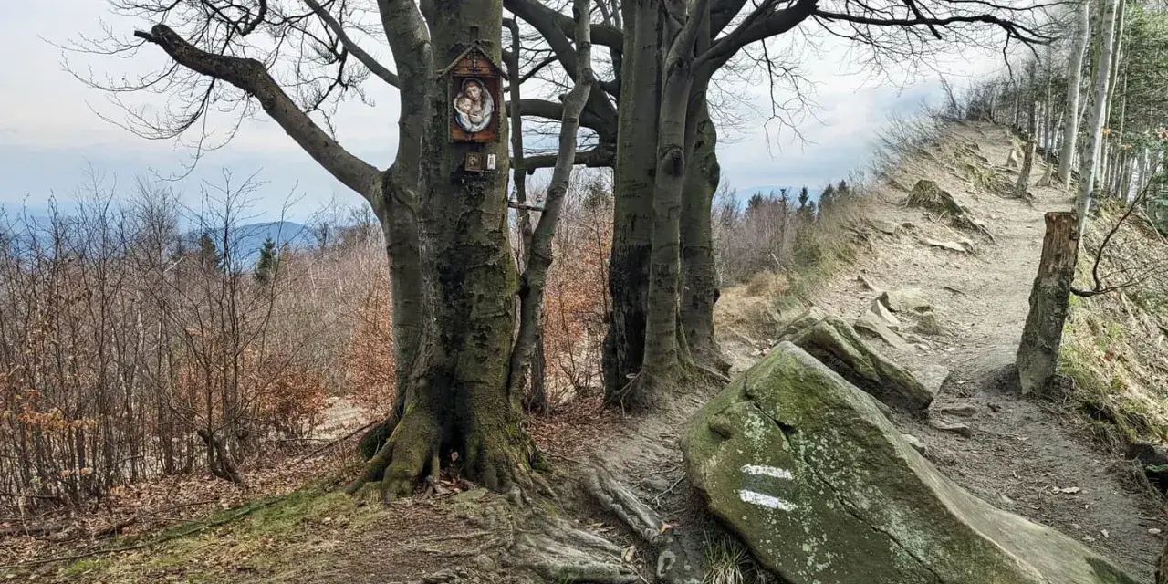 Kapliczka na drzewie w lesie, przy szlaku turystycznym. W oddali widać góry i las. To może być szlak na Leskowiec.