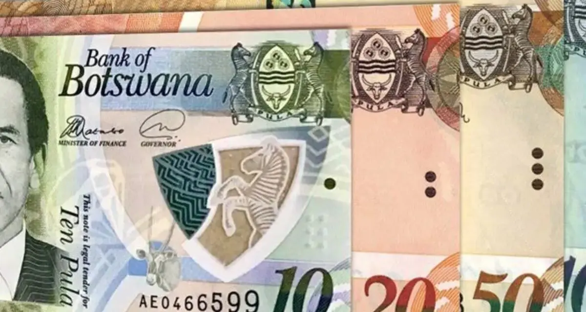 Różne banknoty botwańskiej waluty, Pula, z wizerunkiem zebry i godłem.