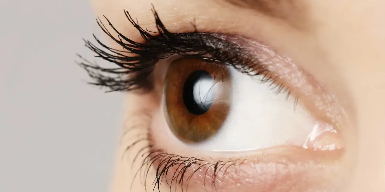 Occhio marrone con ciglia lunghe e folte, un riflesso luminoso suggerisce l'uso di olio di silicone per un effetto brillante.