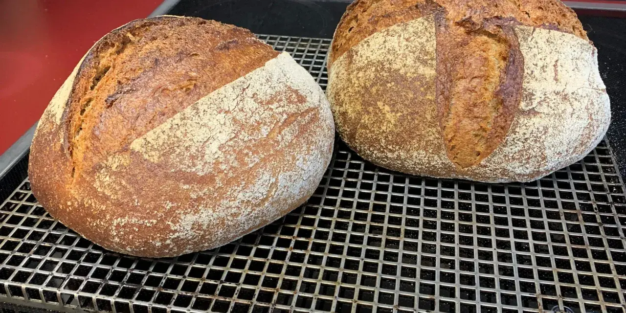 Zwei frisch gebackene, rustikale Brote mit knuspriger Kruste und lockerer Krume ruhen auf einem Gitter. Dieses 60 Stunden Brot ist ein Meisterwerk.