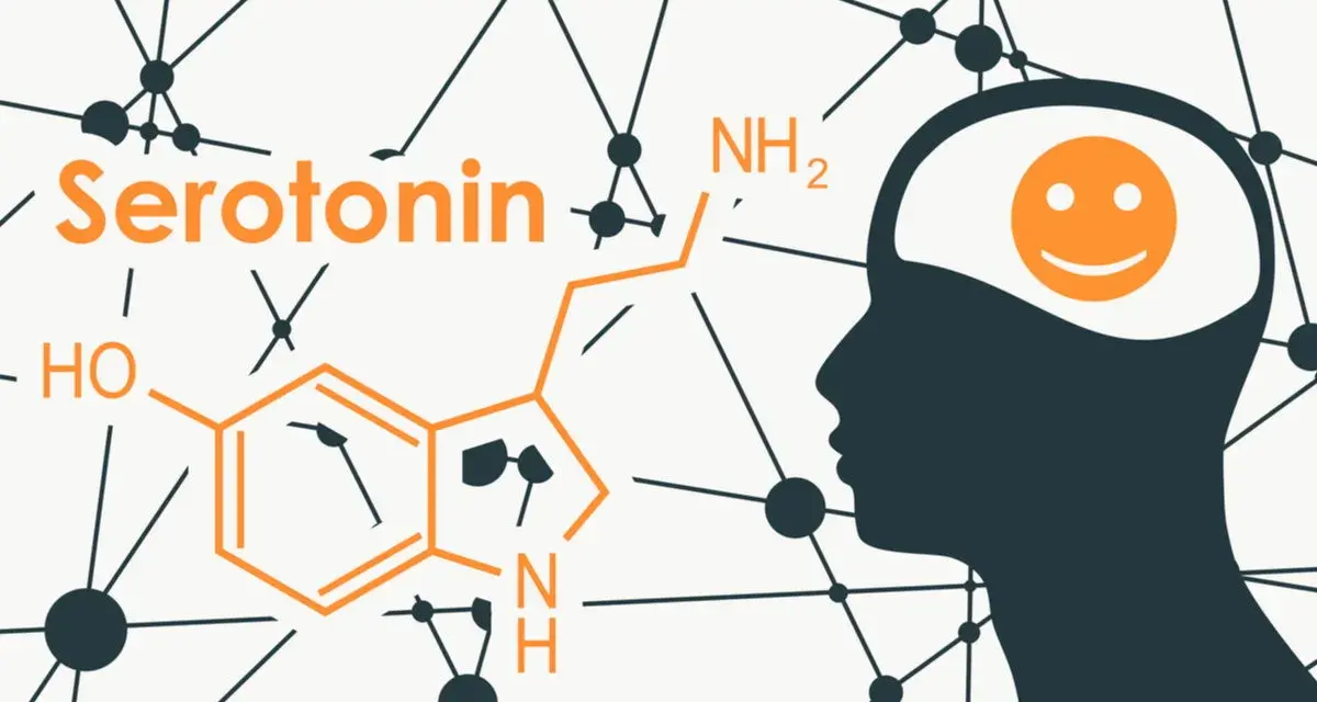 Profilo umano con simbolo di felicità nel cervello, accanto alla formula chimica della serotonina. La dopamina e la serotonina influenzano l'umore.
