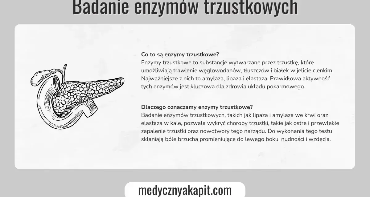 Ilustracja trzustki. Badanie enzymów trzustkowych, w tym lipazy, pomaga wykryć choroby tego narządu.