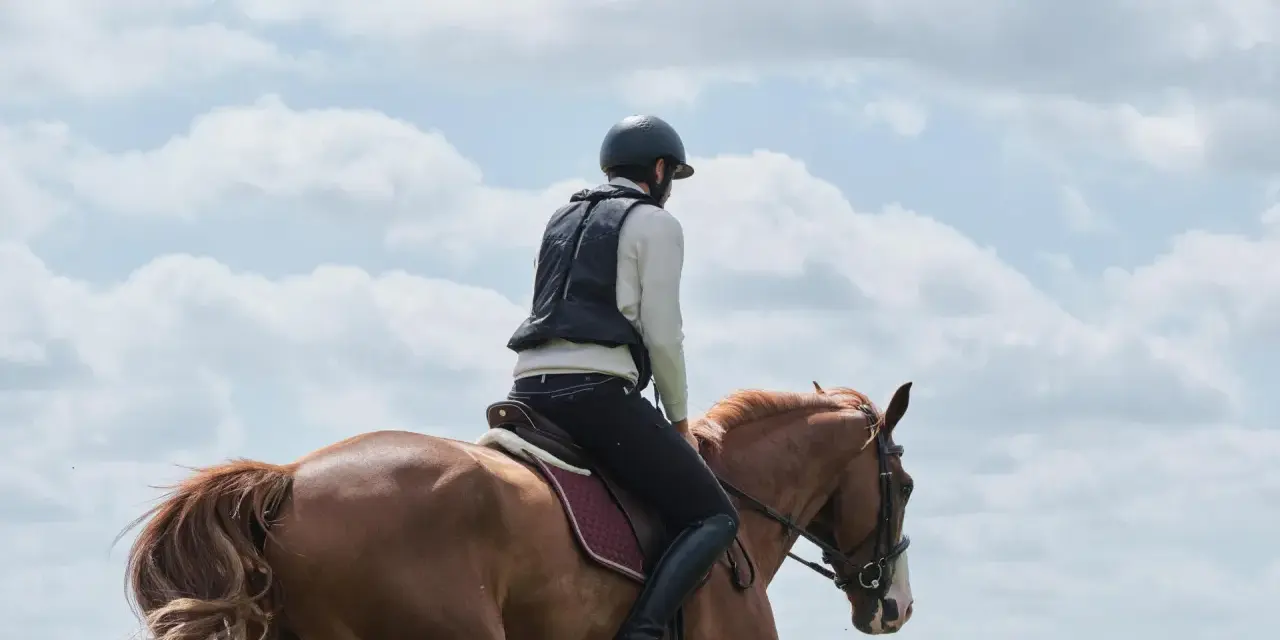 Cavalier en tenue d'équitation sur un cheval bai, sous un ciel nuageux. La tête d'arsouille du cheval est visible, prête pour l'aventure.