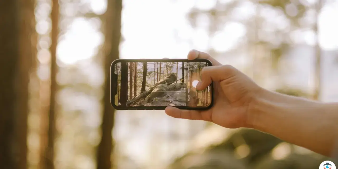 Main d'une personne tenant un smartphone pour prendre une photo d'un paysage forestier avec des rochers et des arbres.