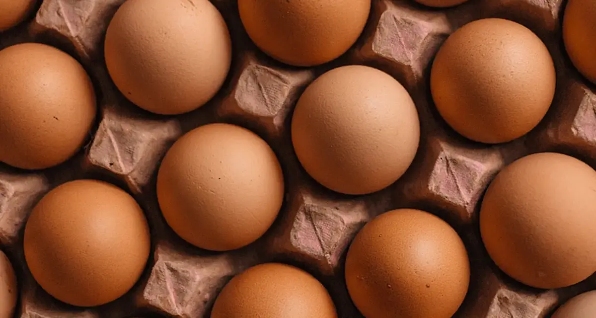 Huevos marrones en una bandeja de cartón, listos para ser usados en hostelería.
