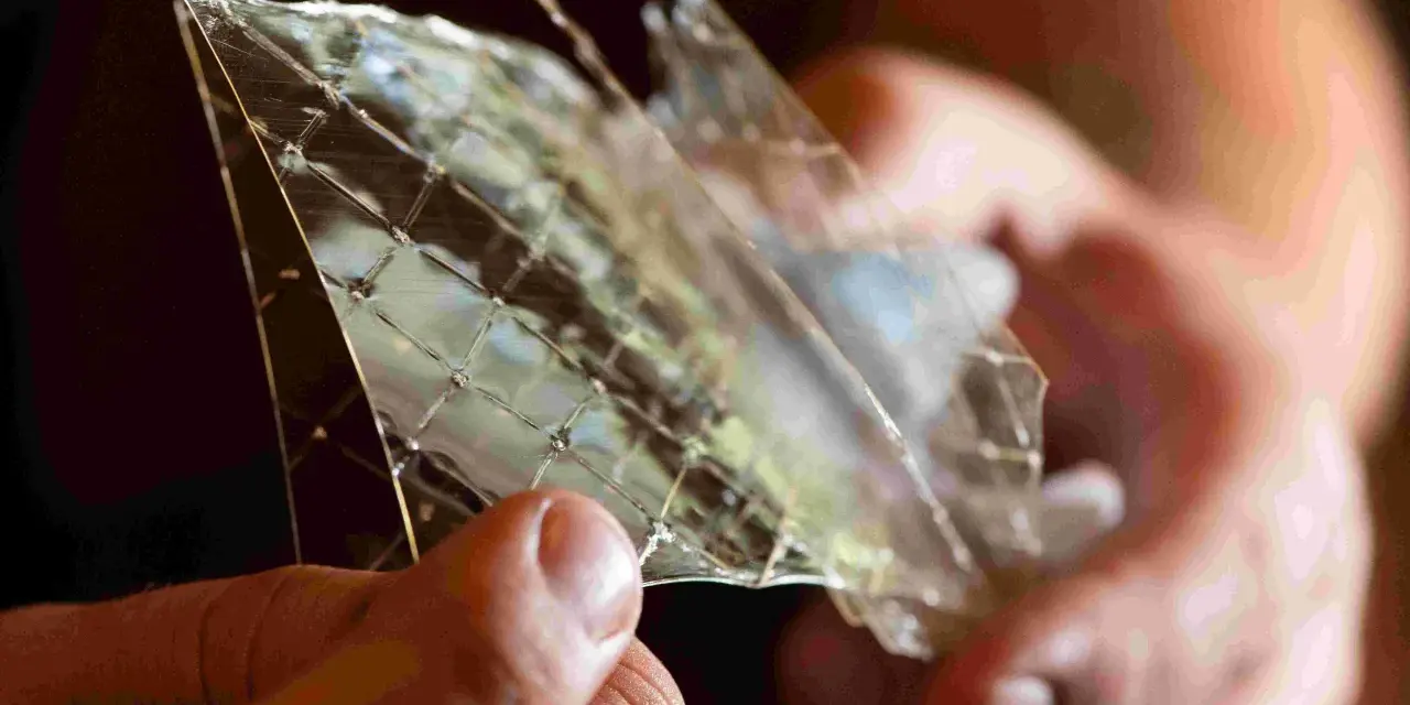 Hände halten ein Stück Gelatine, das wie Glas zerbrochen ist. Die feinen Linien zeigen die vielfältige Gelatine Verwendung in der Küche.