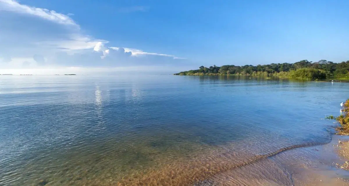 Spokojne afrykańskie jezioro z piaszczystym brzegiem i zielonym lasem w tle.