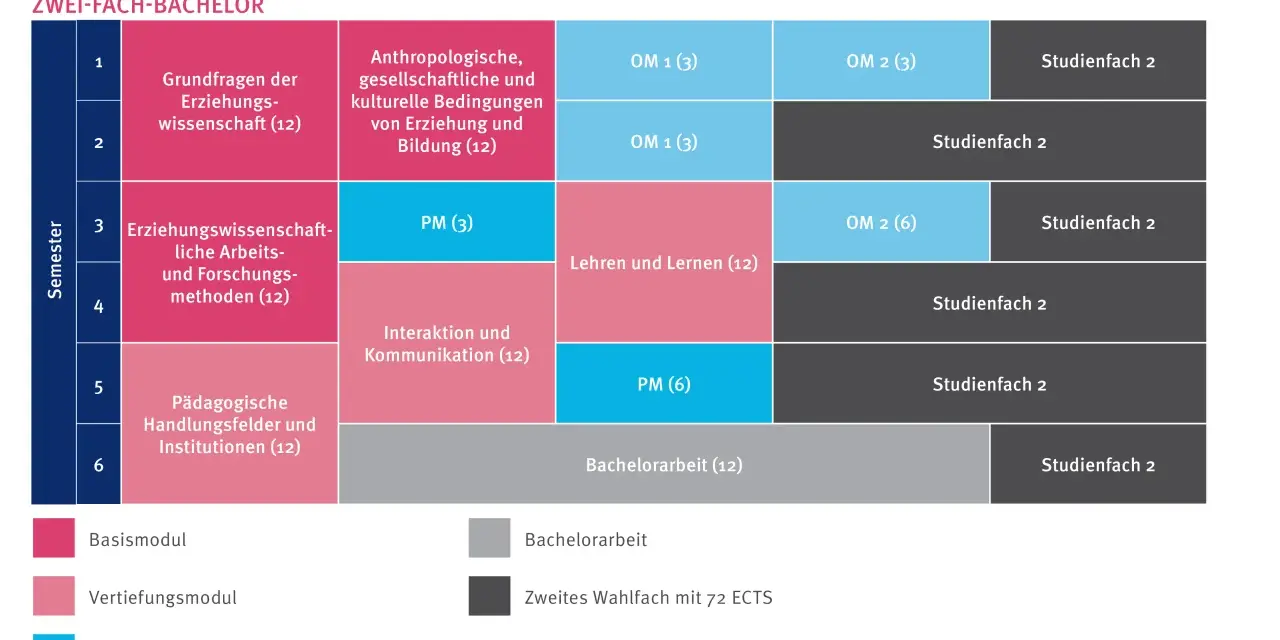 Studienplan für Erziehungswissenschaften im Bachelor. Zeigt Module wie "Grundfragen der Erziehungswissenschaft" und "Pädagogische Handlungsfelder".