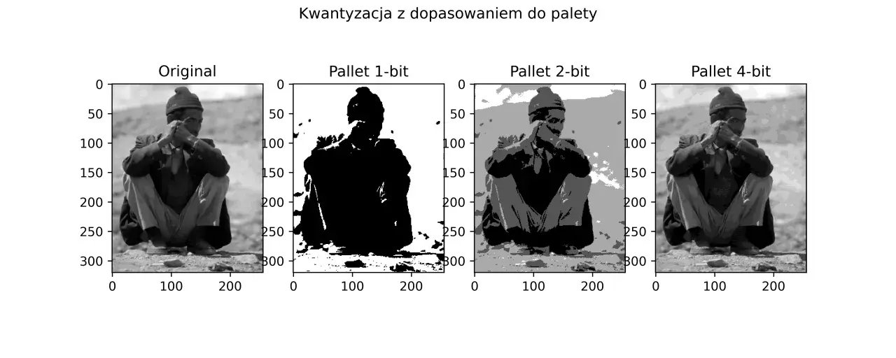 Oryginalny obraz mężczyzny siedzącego na ziemi, obok jego kwantyzowane wersje: 1-bitowa (czarno-biała), 2-bitowa (szara) i 4-bitowa. Widać, jak zredukowana paleta kolorów wpływa na szczegóły, tworząc efekt anti dither.