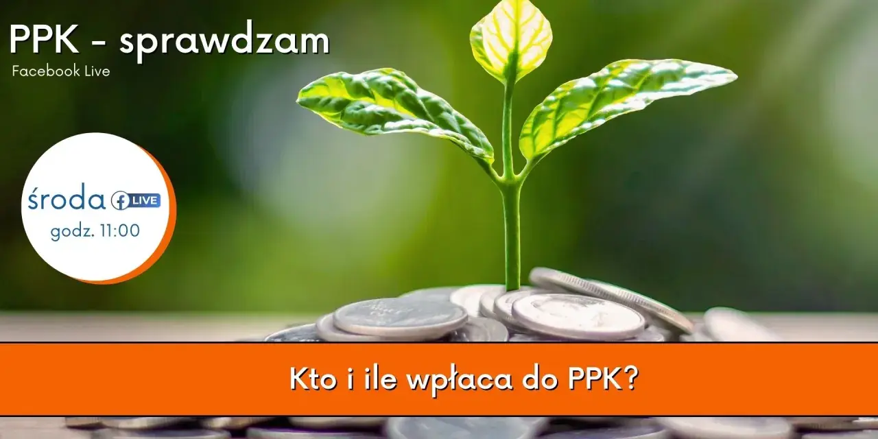 Młoda roślina wyrasta z monet, symbolizując wzrost. Temat: PPK - sprawdzam. Kto i ile wpłaca do PPK?