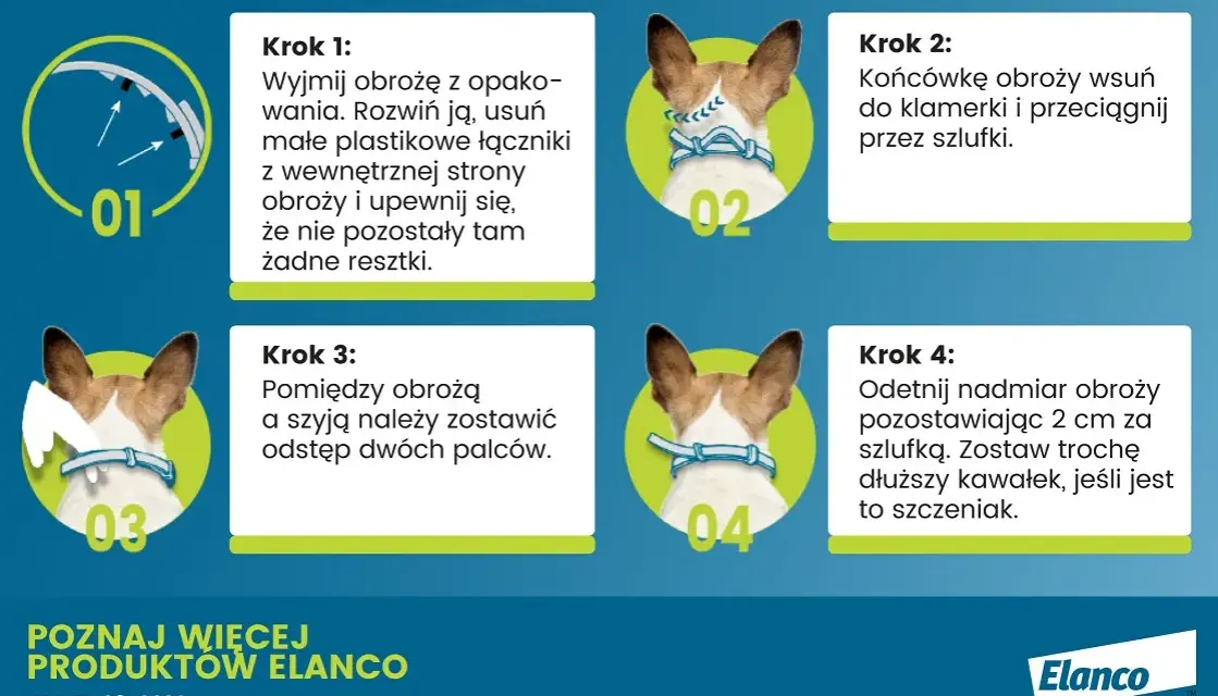 Jak działa obroża Foresto? Skuteczna ochrona przed pasożytami dla psa