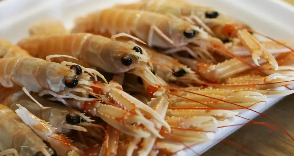 Un plato lleno de cigalas a la plancha, listas para ser degustadas.