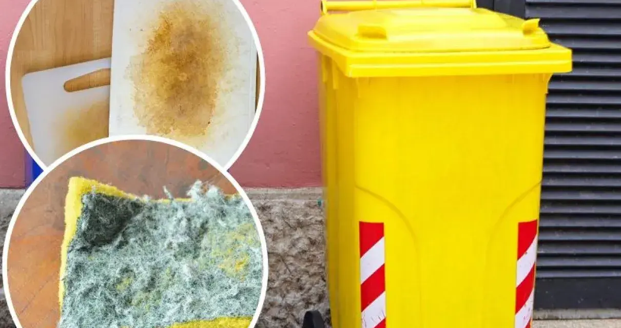 Brudna gąbka i deska do krojenia obok żółtego kontenera na śmieci.