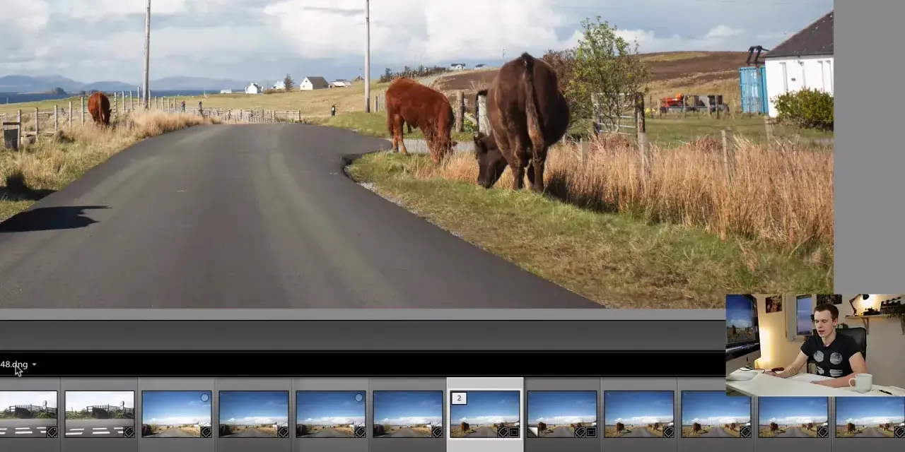 Dans Lightroom, on peut dupliquer une photo pour expérimenter. Ici, des vaches paissent près d'une route écossaise.