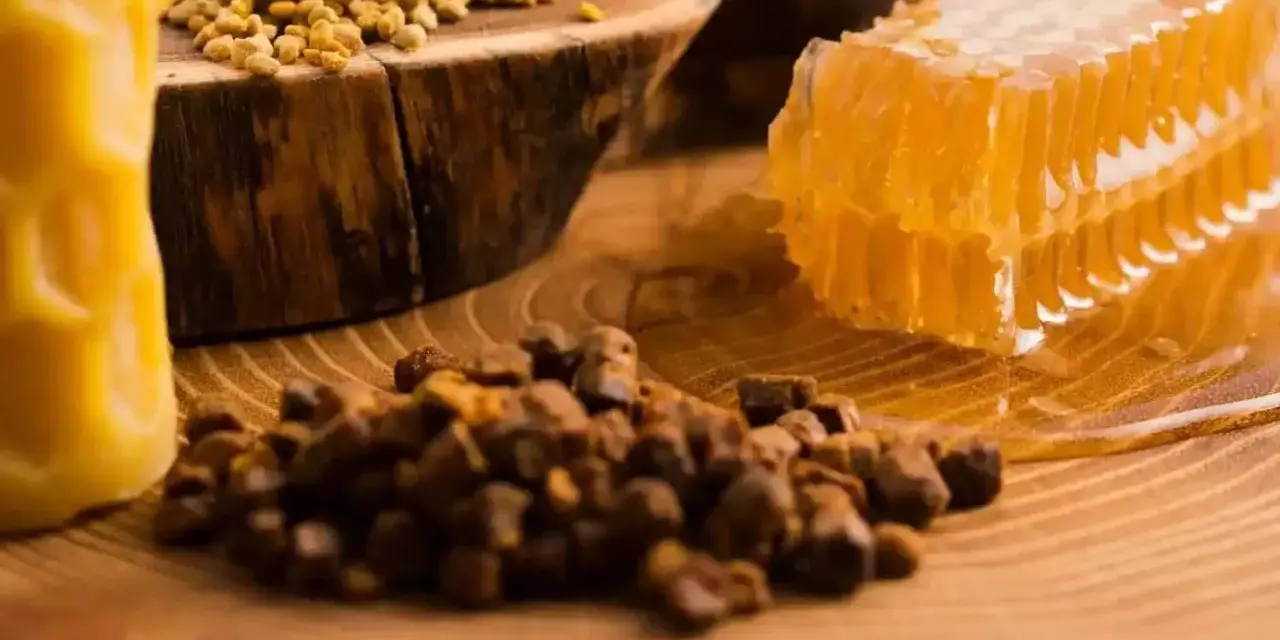 Propolis, pollen, et rayon de miel sur fond de bois. Découvrez les nombreux propolis bienfaits pour la santé.