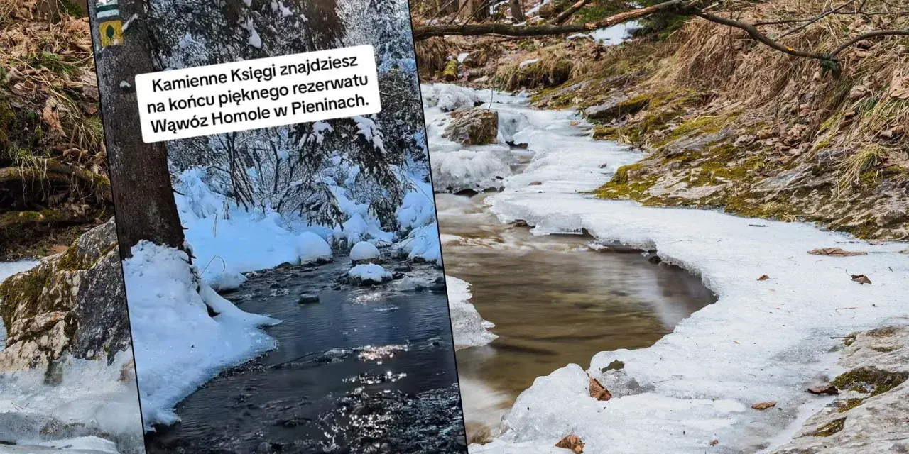 Zimowy spacer przez Wąwóz Homole. Lód i śnieg otaczają strumień, tworząc malowniczy krajobraz. Czas przejścia przez ten piękny rezerwat to niezapomniane przeżycie.