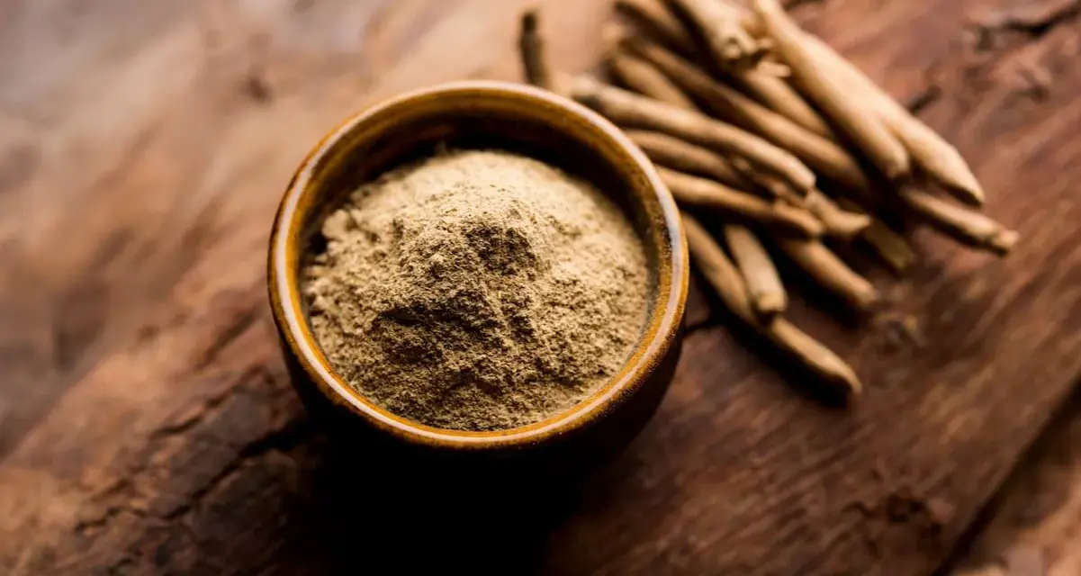 Ashwagandha Pulver in einer Schale und Wurzeln daneben. Wann einnehmen? Ideal morgens oder abends für Stressabbau.
