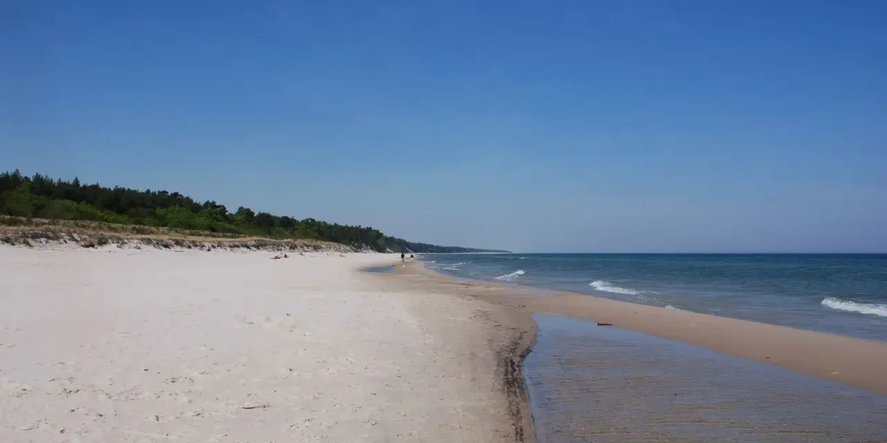 Piękna plaża w Karwieńskich Błotach. Jasny piasek, spokojne morze i las w tle. Idealne miejsce na spacer.