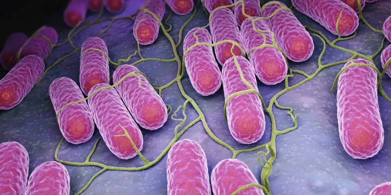 Batteri rosa allungati con flagelli verdi, che rappresentano il microbioma cutaneo.