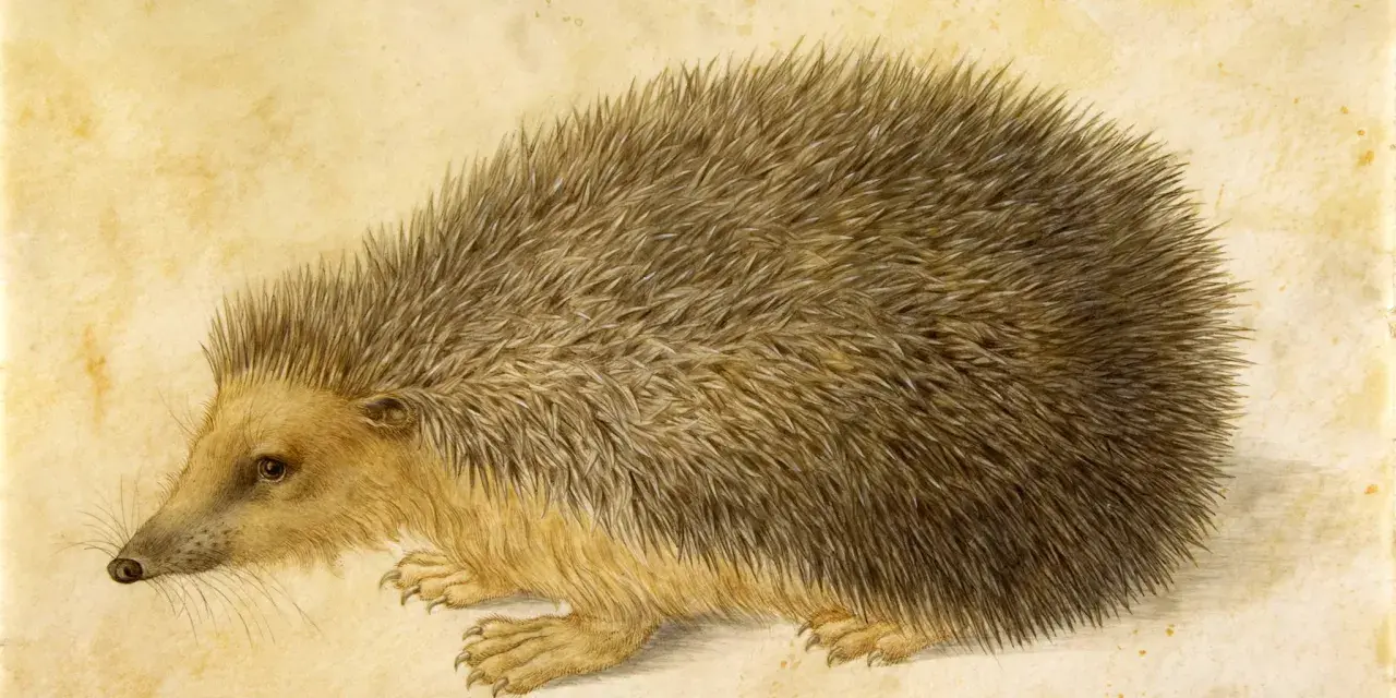 Un hérisson aux piquants réalistes, un de ces animaux qui semblent durer à travers les âges, sur un fond jauni.