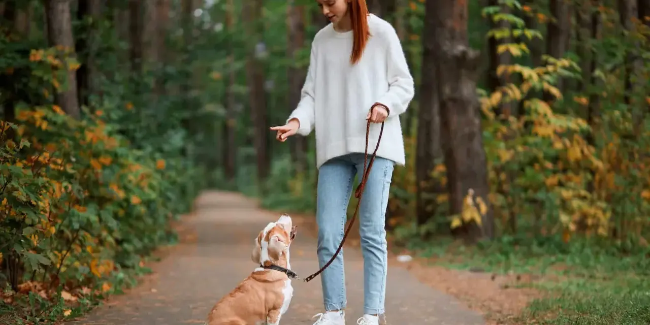 Rudowłosa dziewczyna uczy psa chodzić na smyczy w lesie. Pies siedzi, patrząc na nią z uwagą.