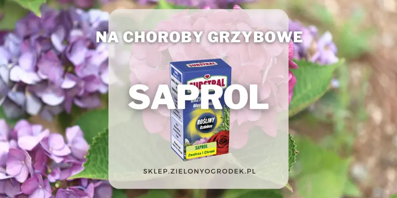 Oprysk Saprol na choroby grzybowe roślin ozdobnych. Zwalcza i chroni.