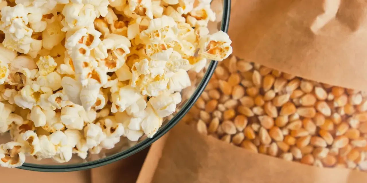 Czy koty mogą jeść popcorn? Poznaj ryzyko i zdrowe alternatywy