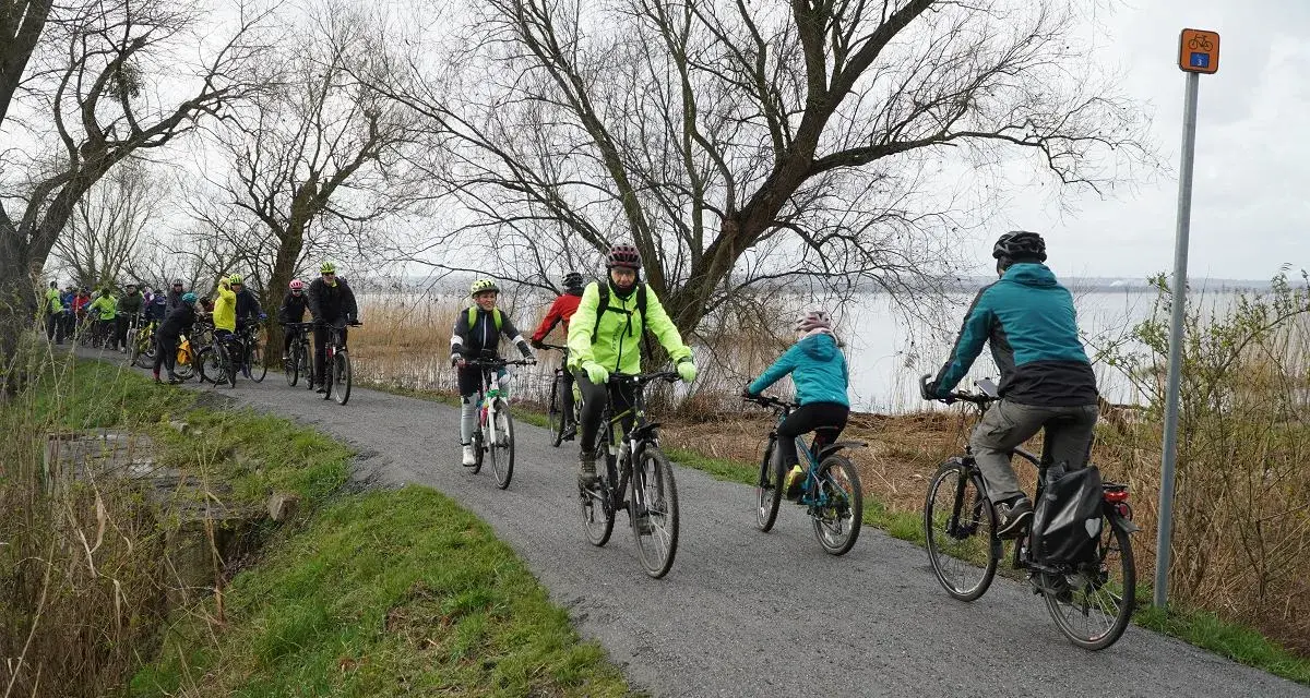 Grupa rowerzystów przemierza malownicze ścieżki rowerowe Szczecina, ciesząc się aktywnym wypoczynkiem nad wodą.