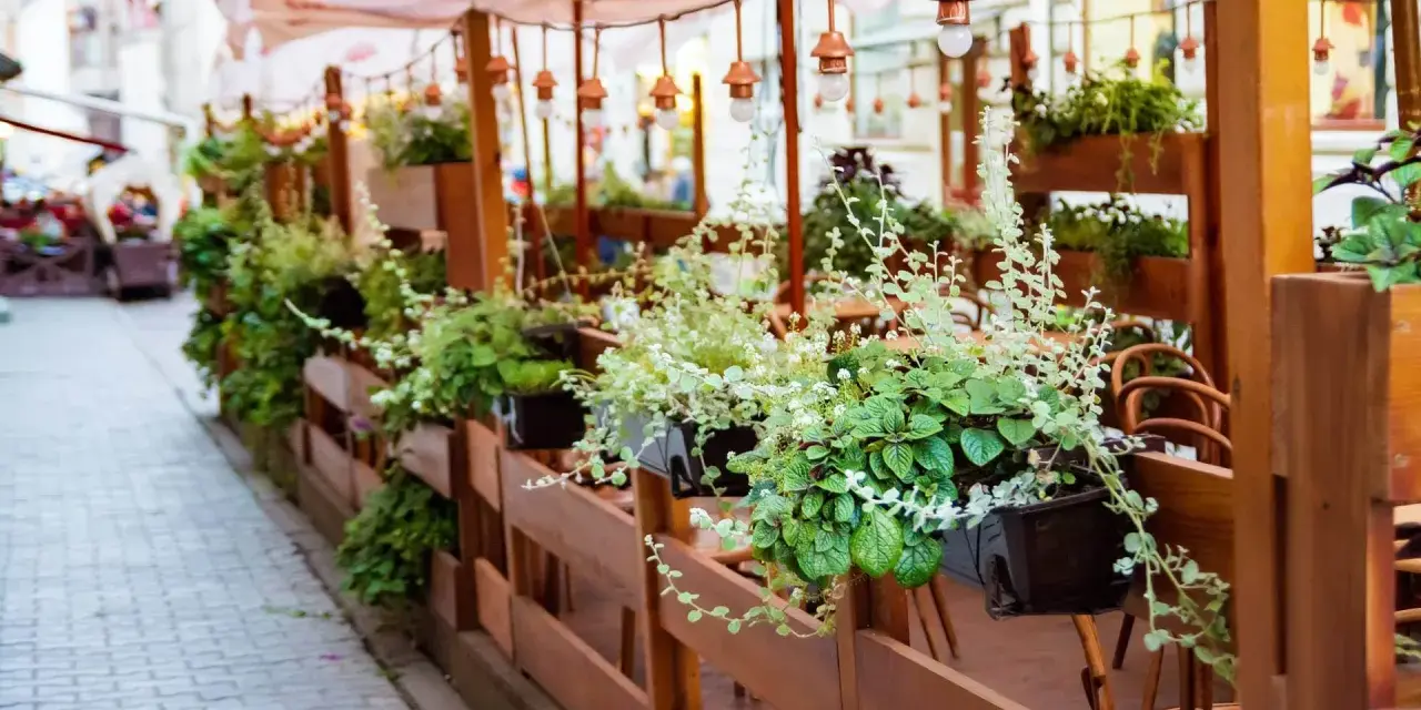 Zielony ogródek przy restauracji, pełen wiszących roślin i drewnianych mebli, zaprasza do odpoczynku.