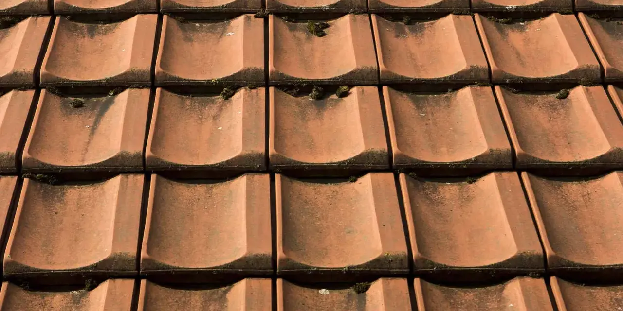 Czerwona dachówka ceramiczna, lekko porośnięta mchem. Sprawdź aktualną dachówka ceramiczna cena za m2.